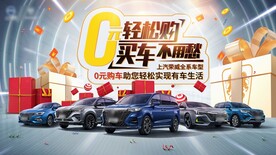 0元购车汽车促销团购会