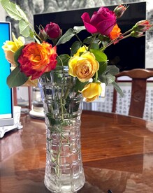 2020年我家桌上我自己种鲜花