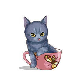 茶杯猫