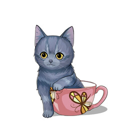 茶杯猫            