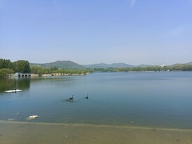 天鹅湖