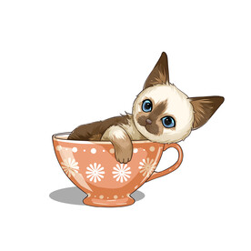 茶杯猫            