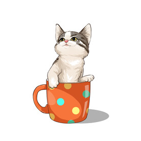 茶杯猫            