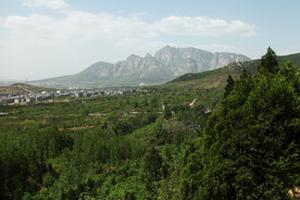 登封春景
