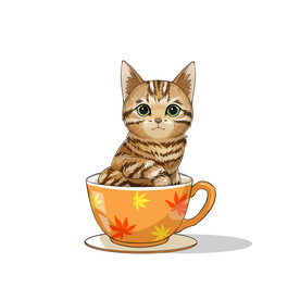 茶杯猫            