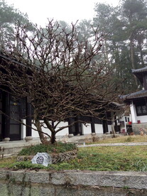 古书院