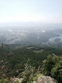  奇山
