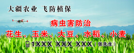 无人机植保海报