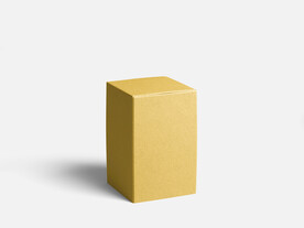 高端包装纸盒样机