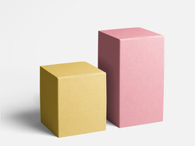 高端包装纸盒样机