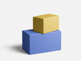 高端包装纸盒样机