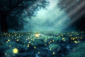 梦幻森林夜景
