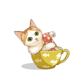 茶杯猫            