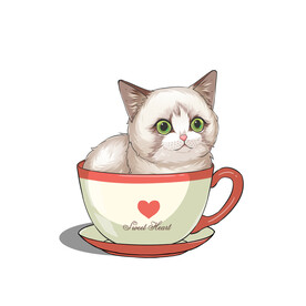 茶杯猫            