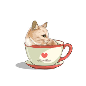 茶杯猫            