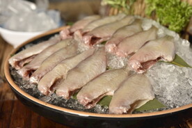 川渝耗儿鱼