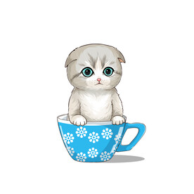 茶杯猫            