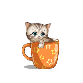 茶杯猫            