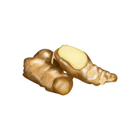 生姜素材