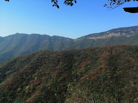 又见满山红叶时