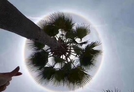 太阳