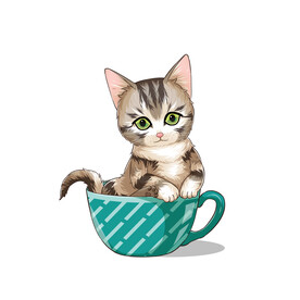 茶杯猫            
