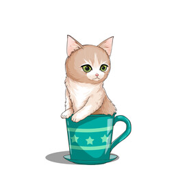 茶杯猫            
