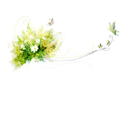 蝴蝶 花丛 背景 唯美 素材