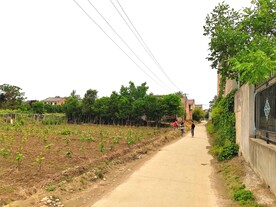 美丽的乡村道路风景