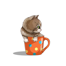 茶杯猫            