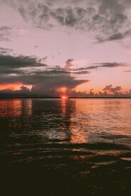 风景