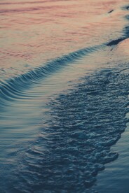 海