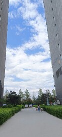 楼中的天空