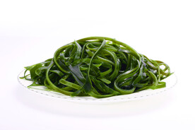 新鲜海带食材