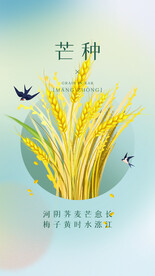 芒种