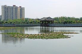 爱莲湖湿地公园风光