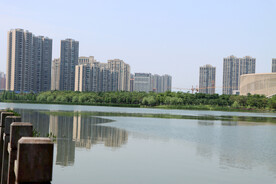 爱莲湖湿地公园风光