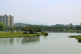 爱莲湖湿地公园风光