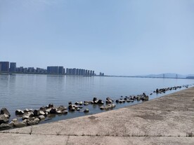 天际线