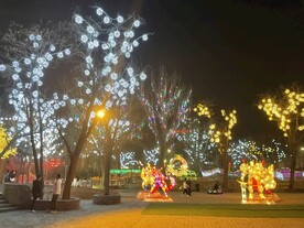 夜景图