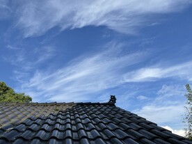 屋顶天空