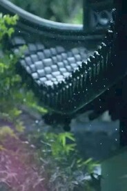 雨天