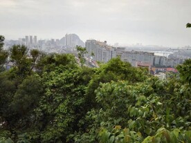 城市楼景