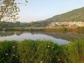 水边
