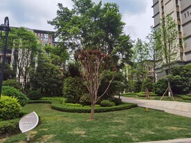 小区绿化