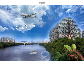 蓝天白三亚美丽之冠大树公馆图片