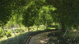 绿植通道