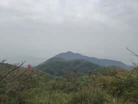 大王山风景 背景 山顶 山林 