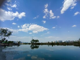  萨里市 湖 河流 全景 人间