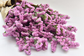 紫色薰衣草鲜花
